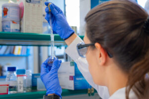 ejemplo de texto alternativo